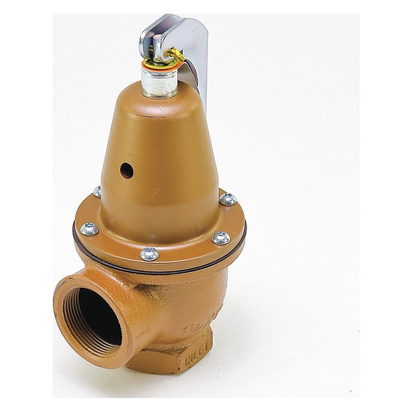 Backflow Check Valve, 45 psi, 2830000 Btu