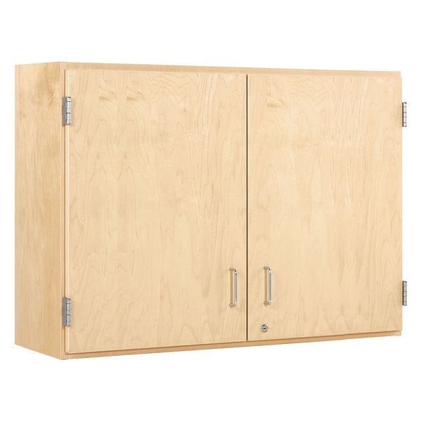 Wall Mount & Shelving Storage Cabinet, 30 in H, 48 in W, 2 Adjustable Shelves