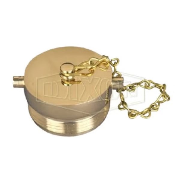 The Right Connection Pin Lug Plug with Chain, 1-1/2 in Nominal, MNST End Style, Cast Brass, Domestic