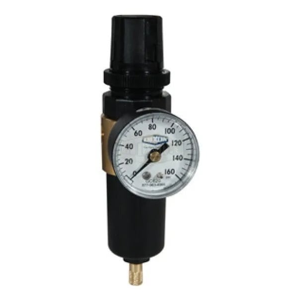 Wilkerson by Self-Relieving Miniature Filter/Regulator with GC620 Gauge, 1/8 in NPT/BSPP-G Port