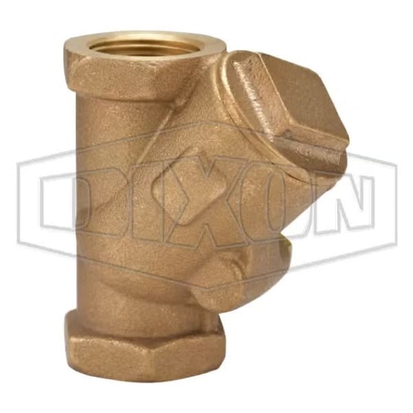 Check Valve, 1 in Nominal, FNPT End Style, Brass Body