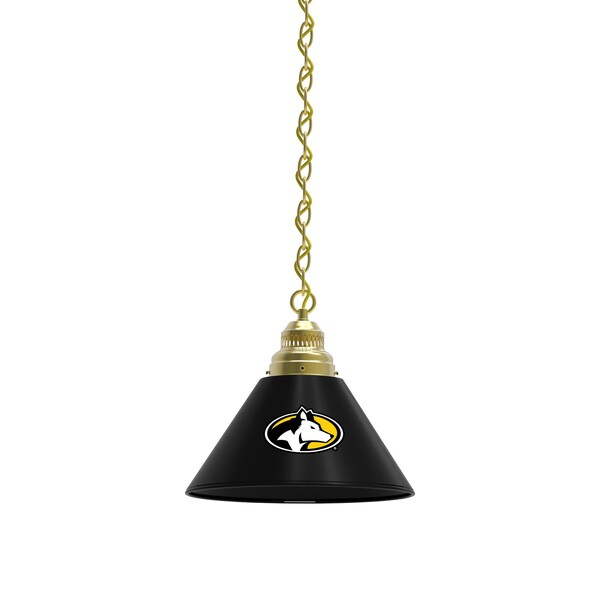 Michigan Tech Pendant Light, Brass Fixture