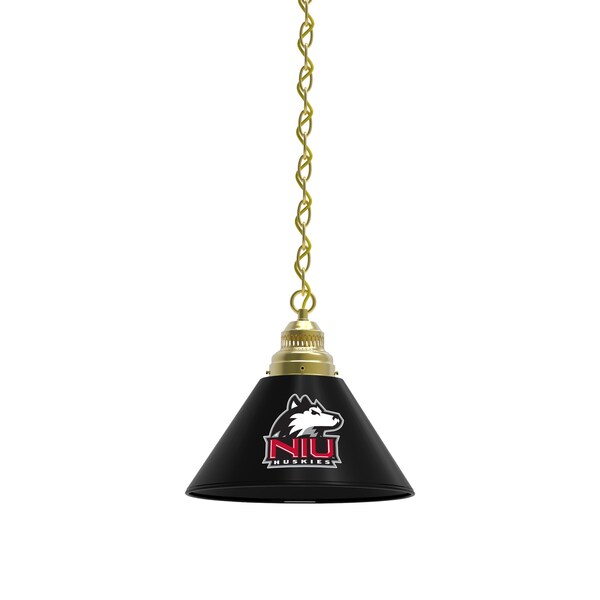 Northern Illinois Pendant Light, Brass Fixture