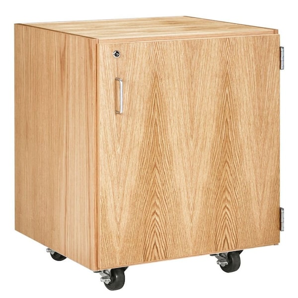 Shelving Storage Cabinet, 14 in H, 24 in W, 1 Shelves