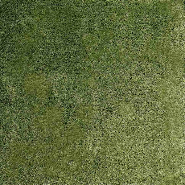 Emerald Green 7.5 Ft Width X 10 ft Length x 38 Mm Thick Pre Cut Artificial Grass Turf Roll