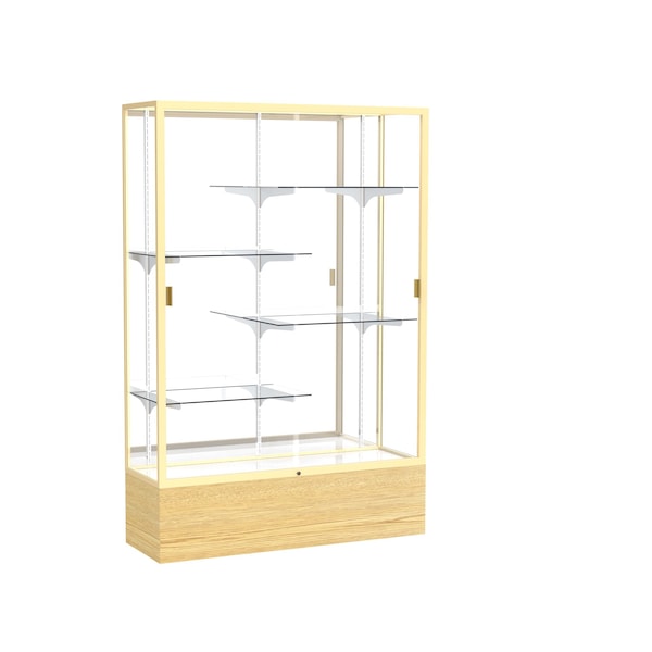 Floor Display Case 48x72x16, Mirror, Champange