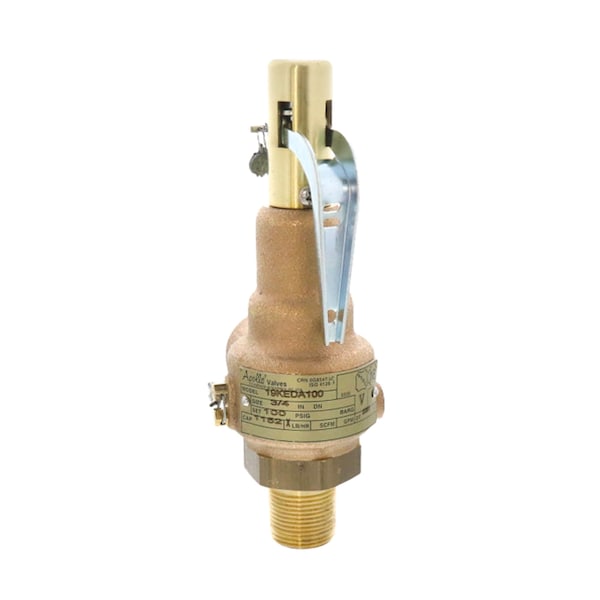 3/4 in. x1 in. 100#STEAM 1152 PPH