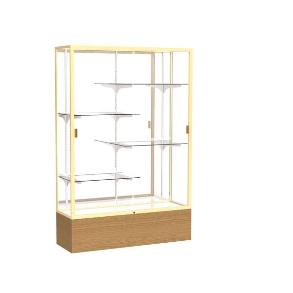 Floor Display Case 48x72x16, Mirror, Champange