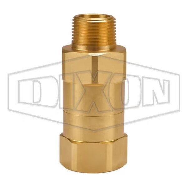 Safety Check Valve, 3/4 in, FNPT, Brass Body