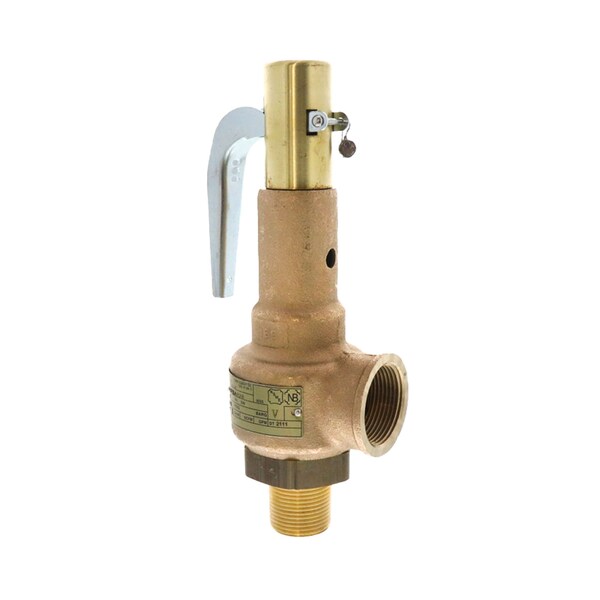Steam Relief Valve 1X1.25 125