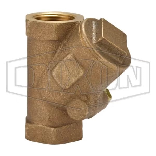 Check Valve, 3/4 in Nominal, FNPT End Style, Brass Body