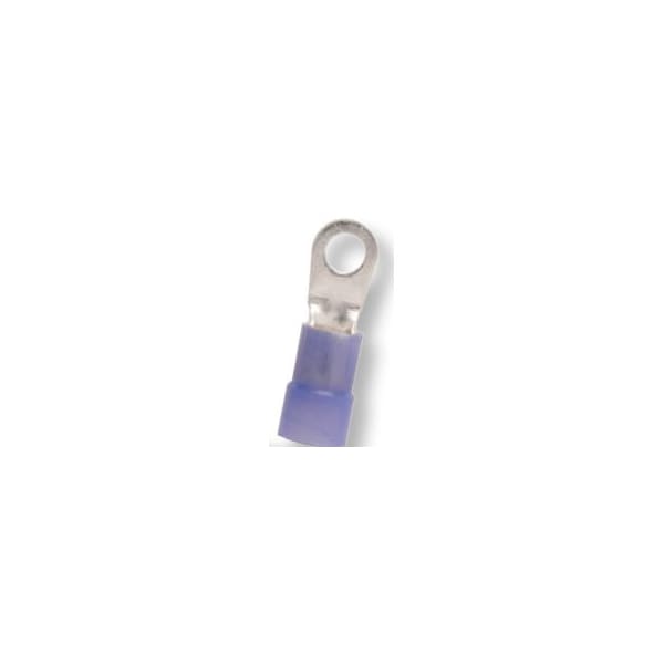 Ring Terminal, #10 Stud Size, 6 AWG, 600 V, Nylon Insulated, 250 PK