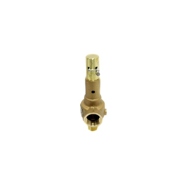 1 in. x1 1/4 in. 150# STEAM 2585 PPH