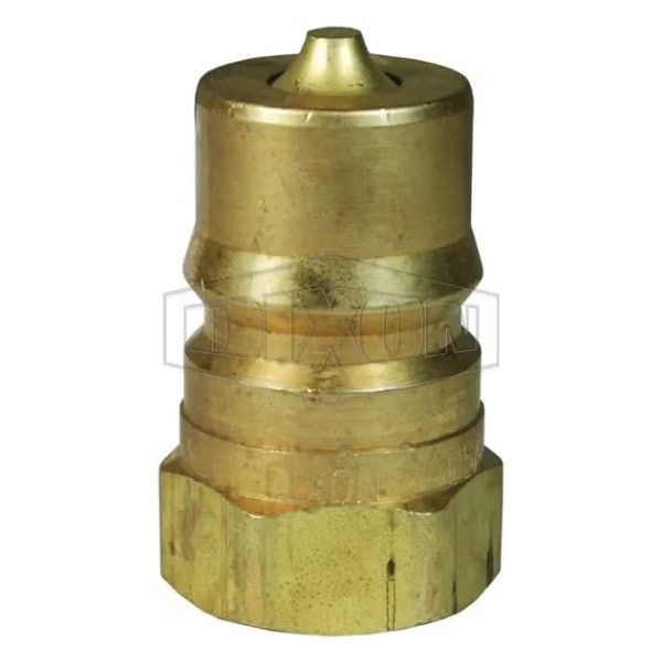 DQC HS Interchange Steam Female Plug, 1-11 Nominal, Female BSPP, Brass