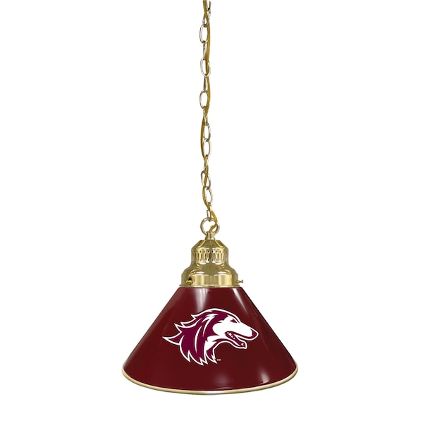 Southern Illinois Pendant Light, Brass Fixture