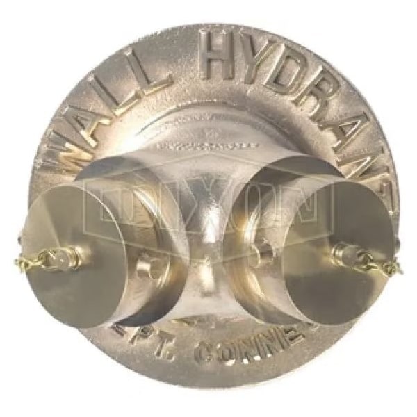 The Right Connection 21-195 2-Way Exposed Wall Hydrant, 4 x 2 2-1/2 in, FNPT x MNST, Cast Brass, D