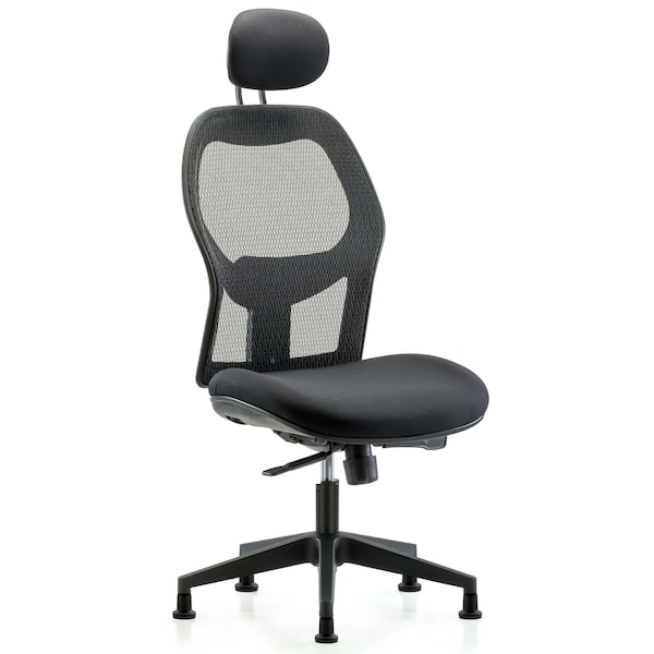 Executive Mesh Chair, Headrest, Glides