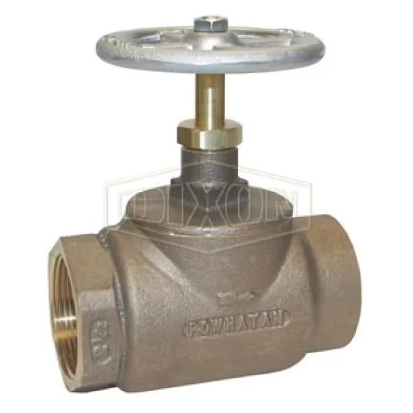 Straight Globe Valve, 2-1/2 in, FNPT, Brass Body