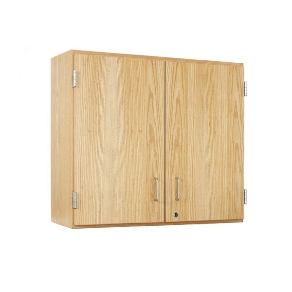 Wall Mount & Shelving Storage Cabinet, 30 in H, 30 in W, 2 Adjustable Shelves