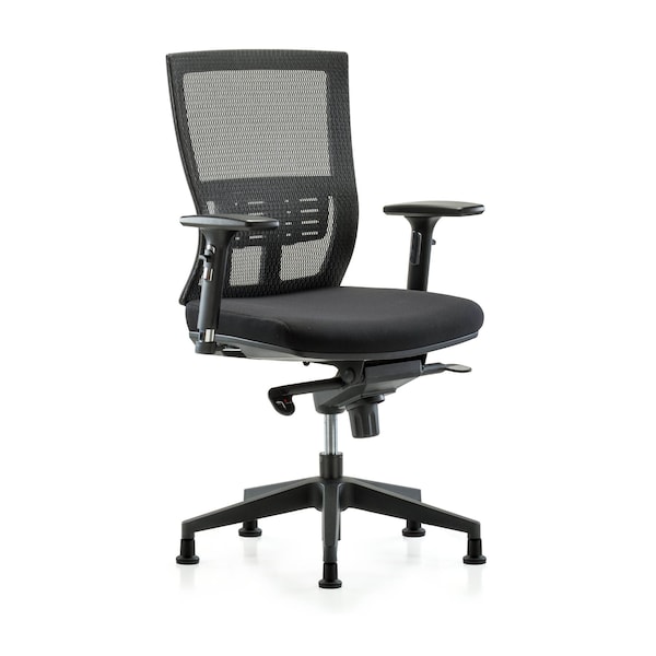 Desk Chair Modern Mesh Chair, C2, 3D, Arms Glides, Adjustable Arms, 18-1/2" to 21-1/2" Height, Mesh