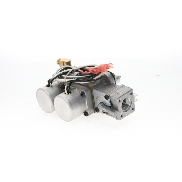 Valve 24V 1/2"Npt Comb Ng Valve