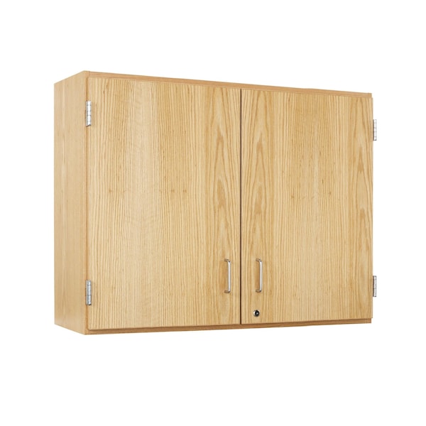 Wall Mount & Shelving Storage Cabinet, 30 in H, 48 in W, 2 Adjustable Shelves