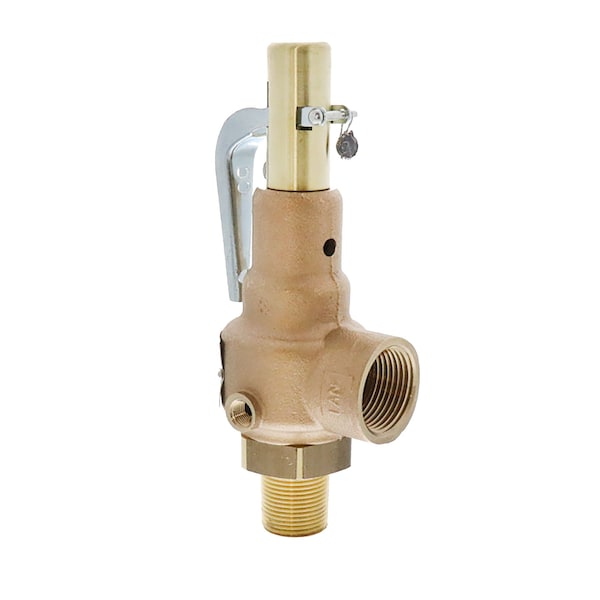 3/4 in. x 1 in. 150# STEAM 1656 PPH