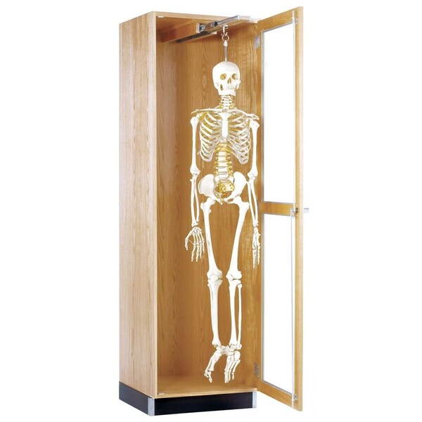 Storage Cabinet, 84 in H, 24 in W, 1 Shelves